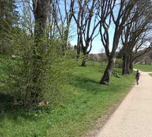 Rundweg am Beutenlay