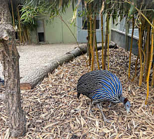 Irrland Bauernhof-Erlebnisoase