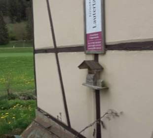 Premiumwanderweg Hochgebürzelt