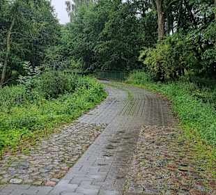 Weiter geht der Weg...