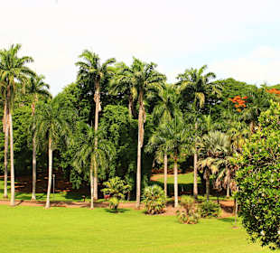 Botanischer Garten