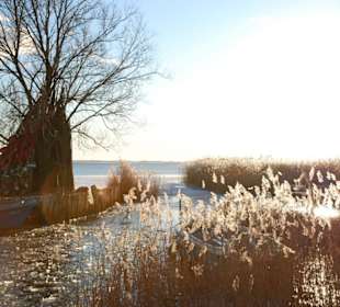 Der kleine Hafen von Zempin