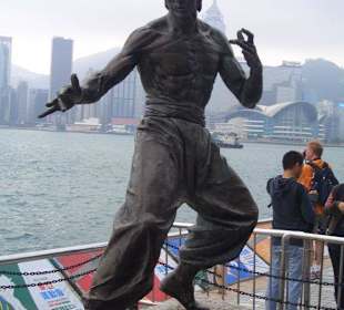 Bruce Lee