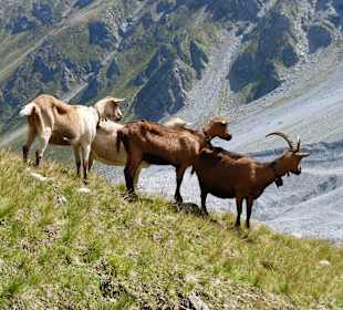 Begegnungen auf dem Weg nach oben