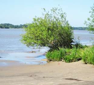 Eindrücke vom Strand am Rissener Ufer