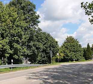 Zufahrt und Parkplätze