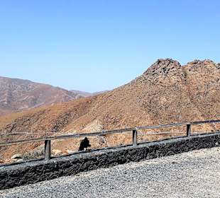 Inselrundfahrt Tagestour