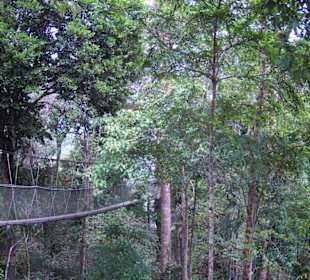 Seilbrücken-Spielplatz für Mutige
