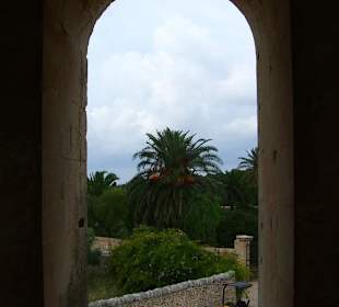 Vista