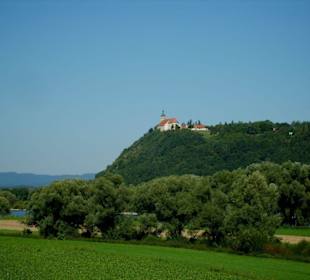Die Kirche auf dem Bogenberg