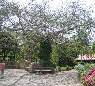 Altos de Chavon