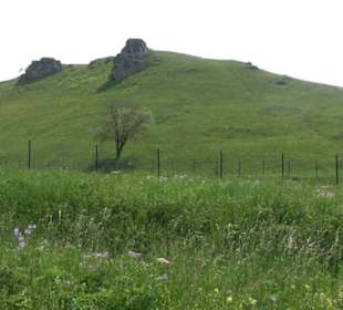 Großes Rinnental