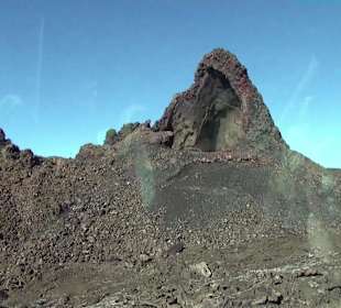 Busfahrt durch den Nationalpark