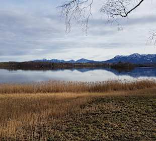 Wandern Uffing am Staffelsee
