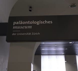Paläontologisches Museum