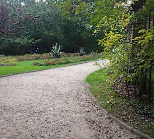 Palmiarnia Park Oliwski