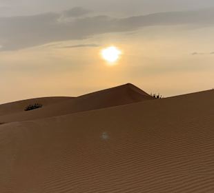 Wüstentour Dubai