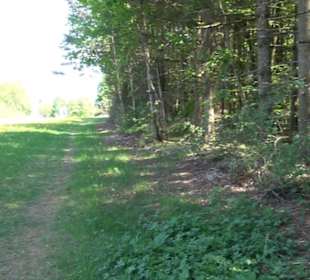 Premiumwanderweg Hochgehschätzt