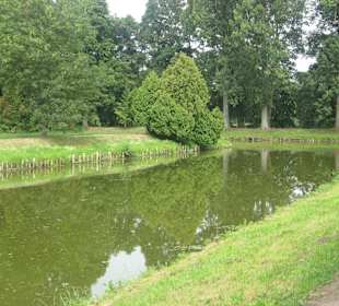 Park przy Pałacu w Nieborowie