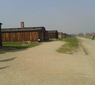 Birkenau