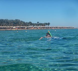 Schnorcheln vorm Makadi Palace