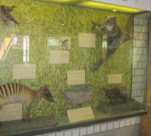 Zoo Heidelberg 