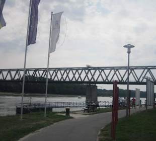 Am Rhein