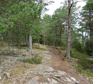Rundwanderweg Slott Läckö