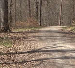 Waldkulturerbe Neuweiler Viehweide