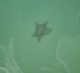 Tour & Ausflug Bayahibe