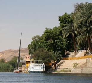 Oród botaniczny KItchenera