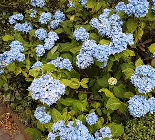 Wandern Schmallenberg