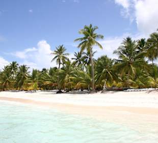 Isla Saona (Bacardi-Insel)