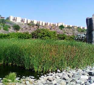 Parque del Sur in Maspalomas