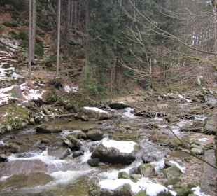 Am Wodospad