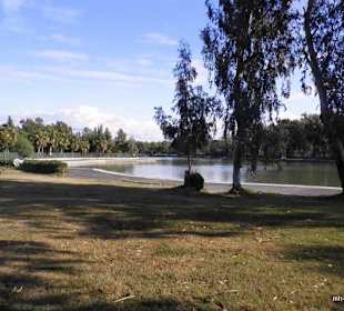 Titreyengöl am 25.12.2011