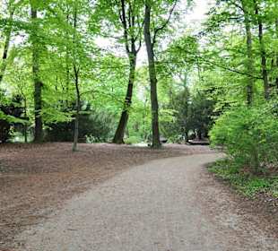Englischer Garten 