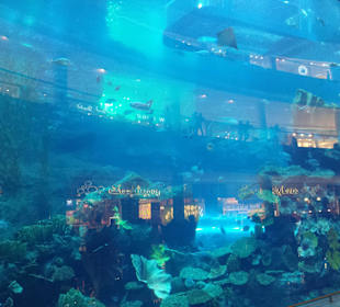 In der Dubai Mall