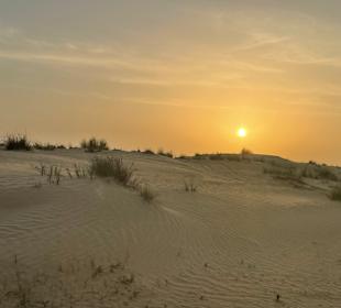 Wüstentour Dubai