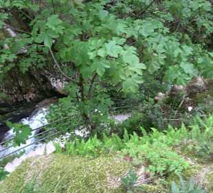 Wasserfälle Allerheiligen