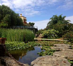 Jardin Aquatico