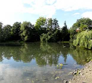 Spaziergang durch den Levinschen Park