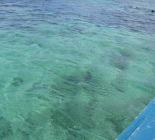 Ausflug Glasbodenboot Diani Beach