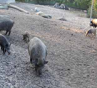 WP LH Herbst Impression