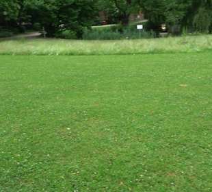 Baumlehrpfad Glacis Park