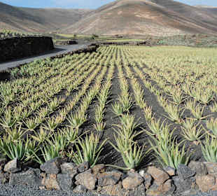 Fahrt von Ost über Nord nach West