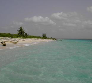 Isla Catalina