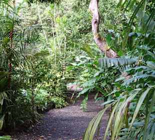 Impressionen vom Jardin des Parfums et des Epices