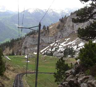 Die muessen ganz schön für diese Fahrt gearbeitet 