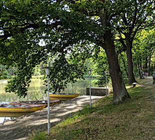 Wandern Sachsen Großschönau